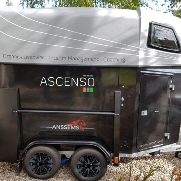 beletteren paardentrailer Zeeland